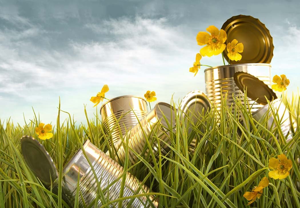 arvindcans, arvind cans, www.arvindcans.com, arvind cans limited, arvind-cans, arvind-cans-limited, tinplate recycling statistics, tinplate closed-loop recycling, tinplate circular economy, almost 100% recyclable tinplate, tinplate recyclability, tinplate recycling Germany rate, tinplate recycling technologies, tinplate reuse and recycling, tinplate environmental impact, tinplate vs steel recycling